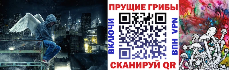 Псилоцибиновые грибы Psilocybine cubensis  Урень 